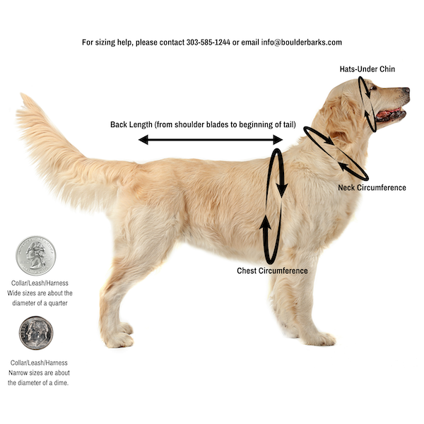 HOW-TO-MEASURE-YOUR-DOG