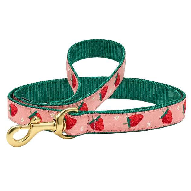 STRAWBERRY-FIELDS-DOG-LEASH