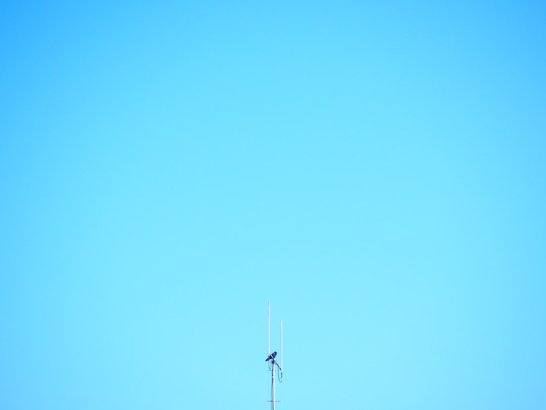 arte regalos azules