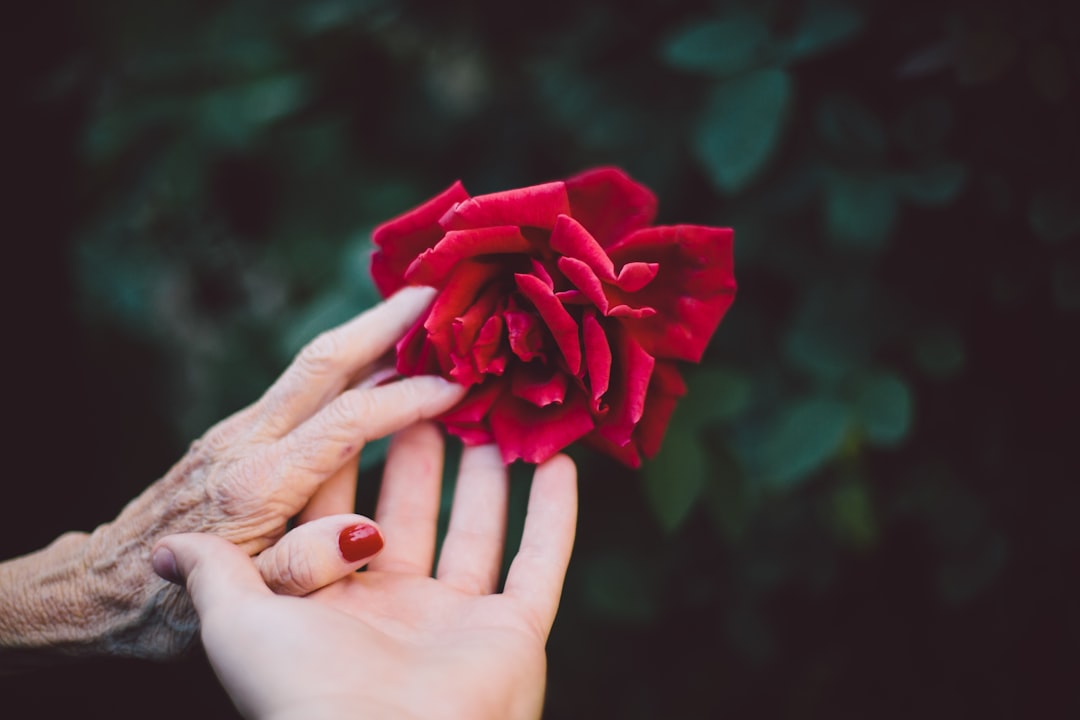 Palabras de amor de aniversario