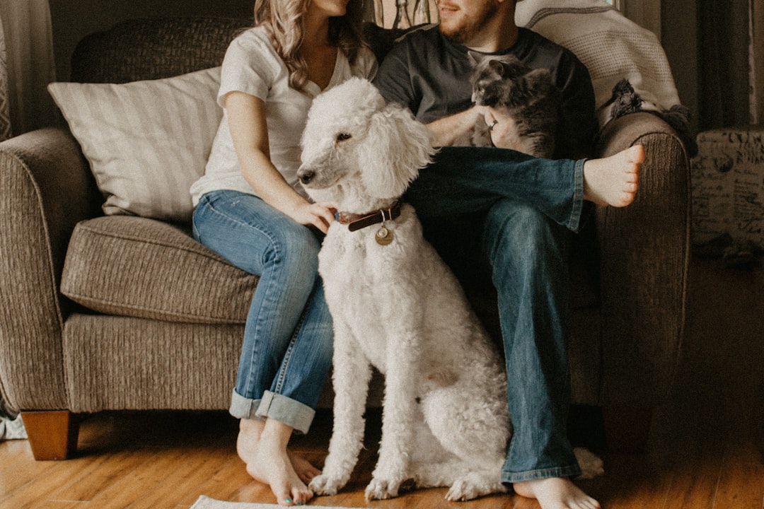 communication couple