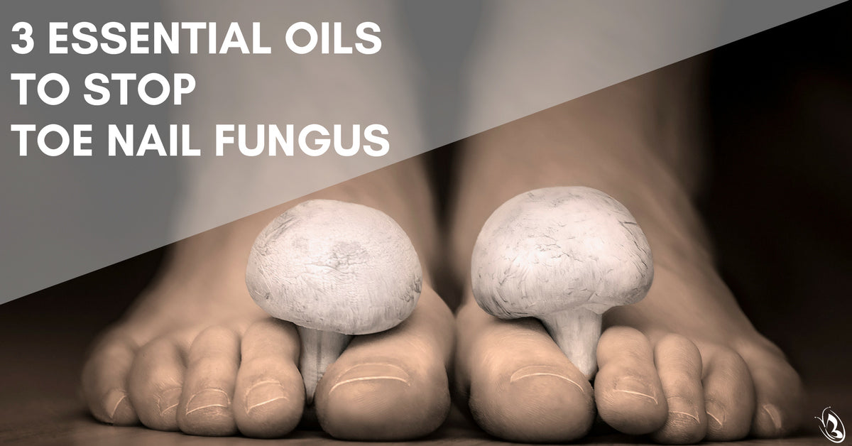 the-8-best-essential-oils-for-toenail-fungus-what-you-need-to-know