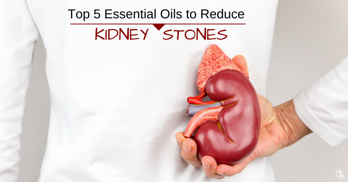 Top 5 Essential Oils to Reduce Kidney Stones Organic Aromas