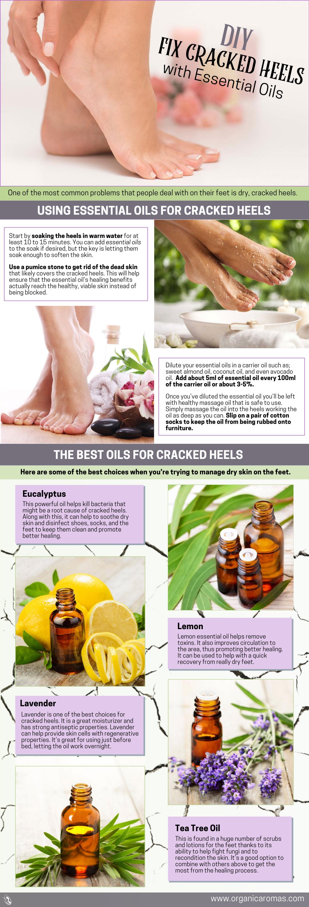 oil for cracked heels