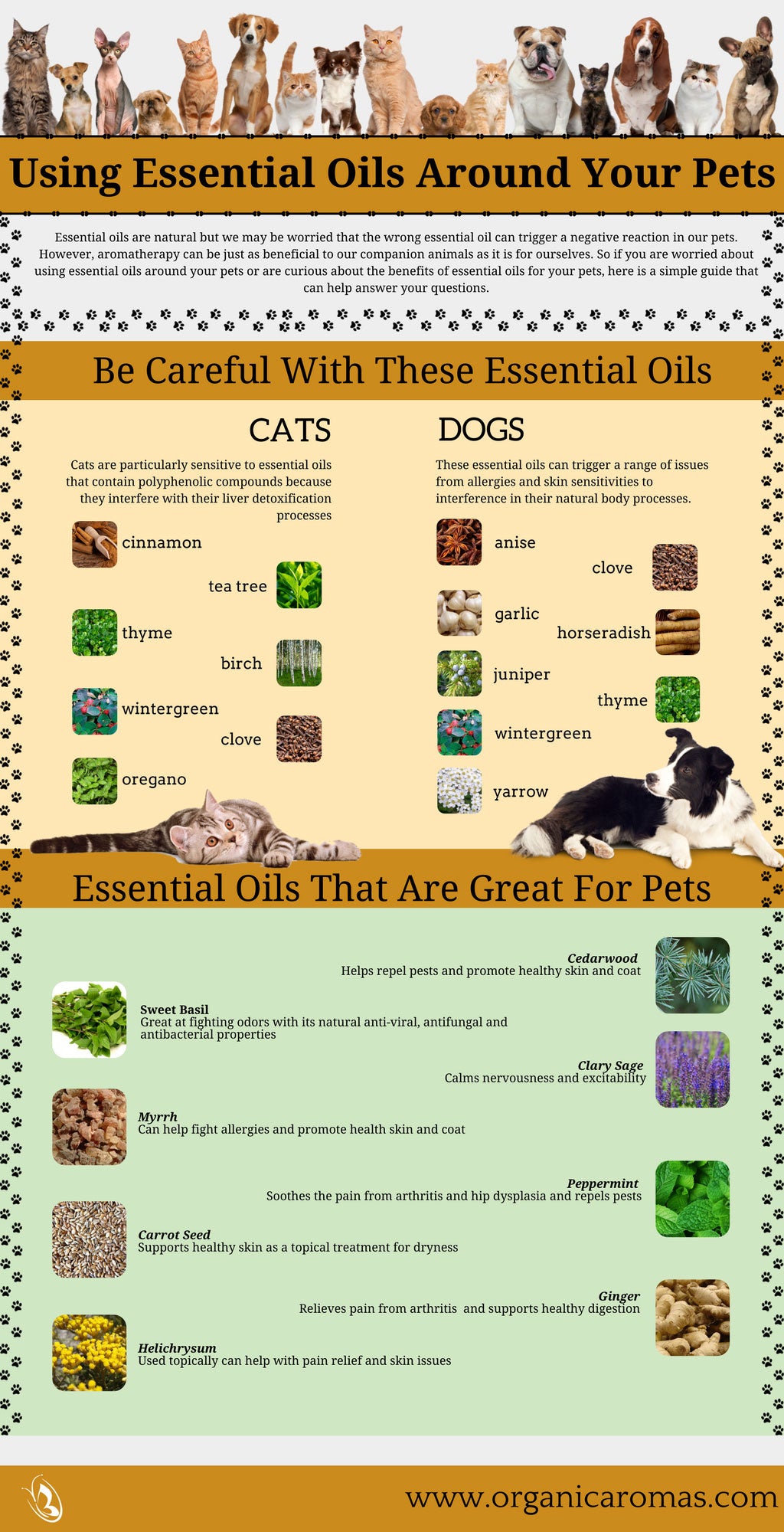 Using Essential Oils Around Your Pets - Organic Aromas