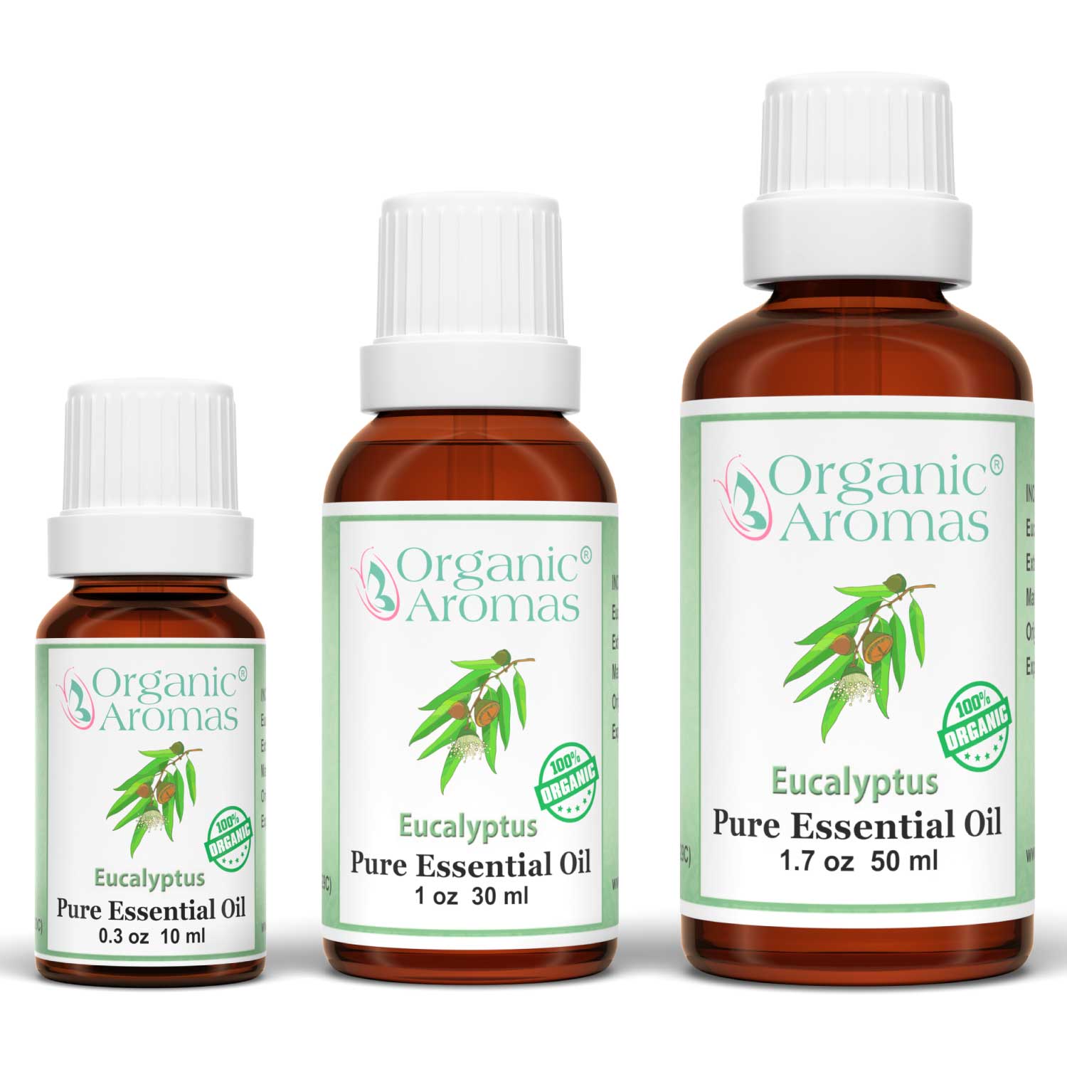 Eucalyptus Organic Essential Oil | Benefits and Uses | Organic Aromas®