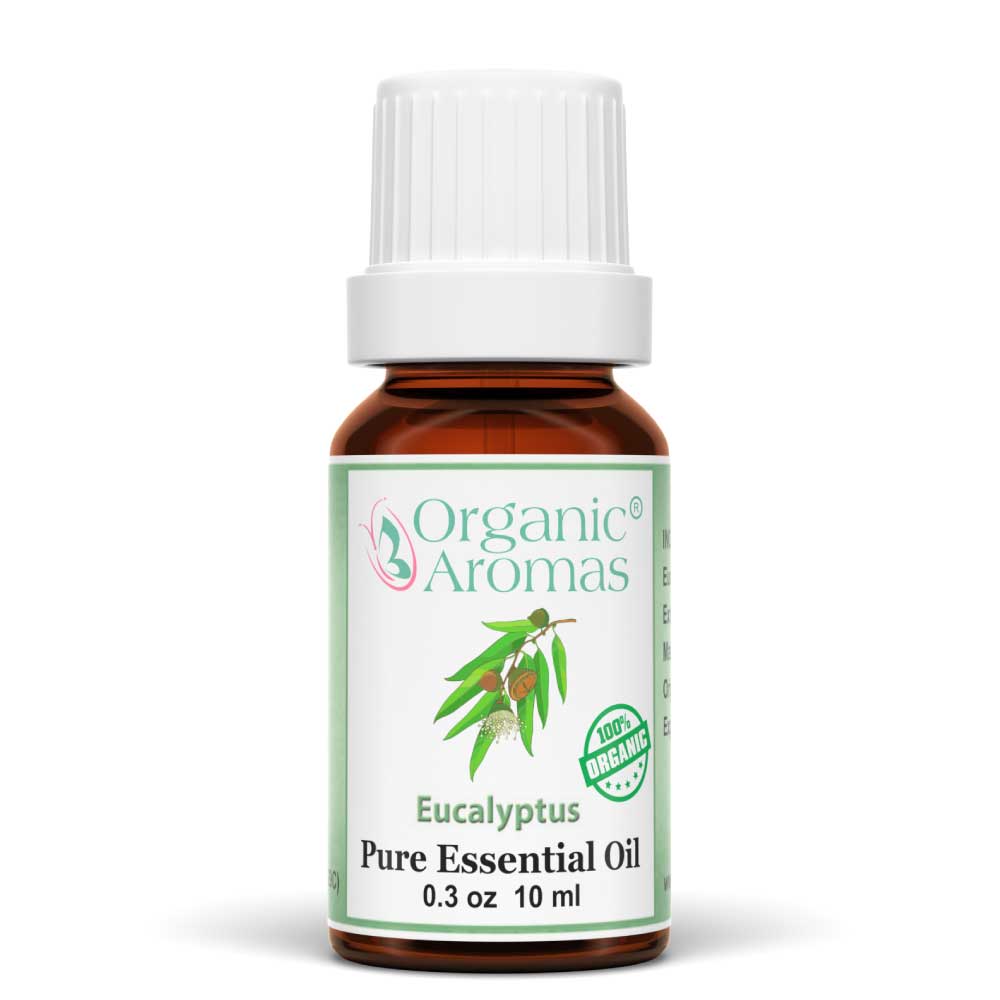 Eucalyptus Essential Oil 100% Pure Organic