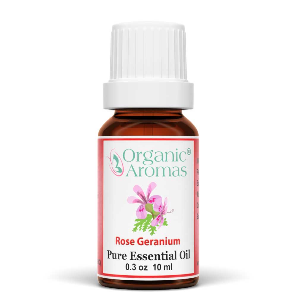 Rose Geranium Essential Oil 100% Pure