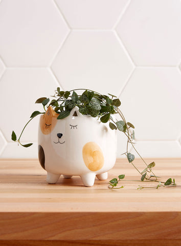 Cat Planter Pot