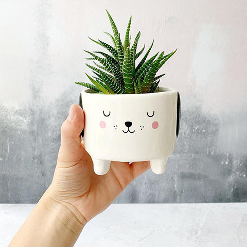 Sass & Belle Barney the Dog Planter Pot