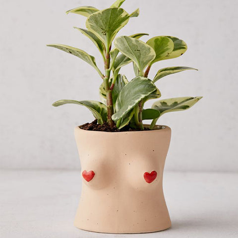Sexy Boob Body Planter Pots for Plants, Succulents or Flowers