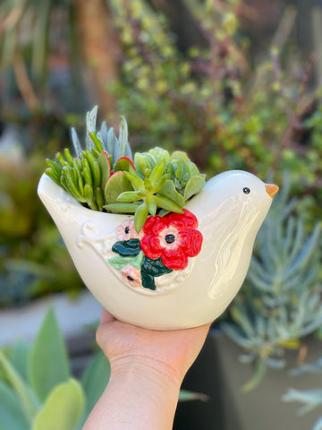 Floral Bird Succulent Planter Pot