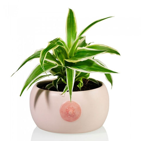 Boob Planter