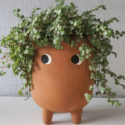 Terracotta Googly Eyes Succulent Planter Pot