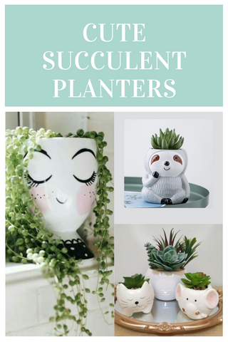 Cute Succulent Planters