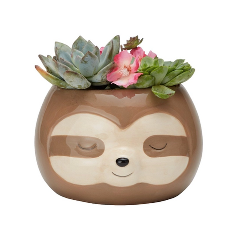 Brown Sloth Planter Pot for Succulents