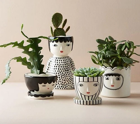 Kinska Lady Face Planters