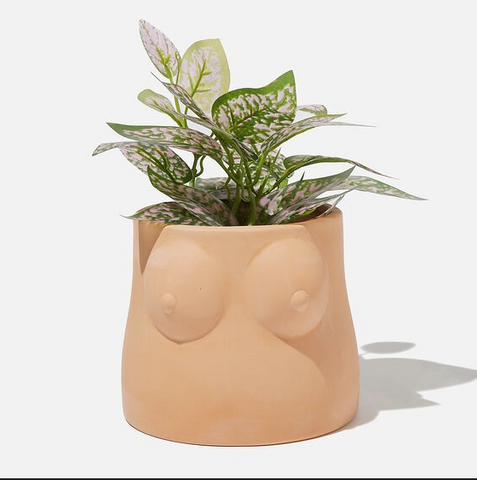 Breast Planter Pot