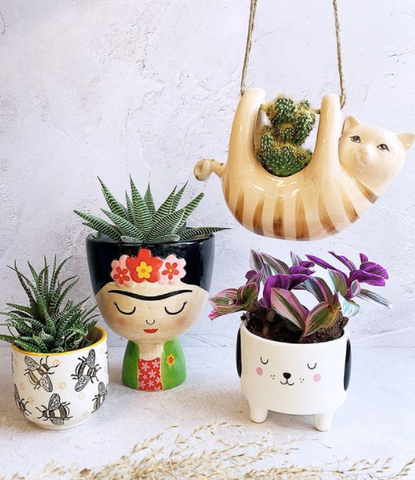 Cute planters & pots for succulents