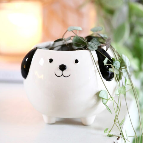 Dog Planters & Pots