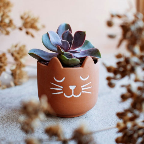 Terracotta Cat Planter