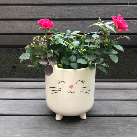 Large Cat Planter with a pink nose