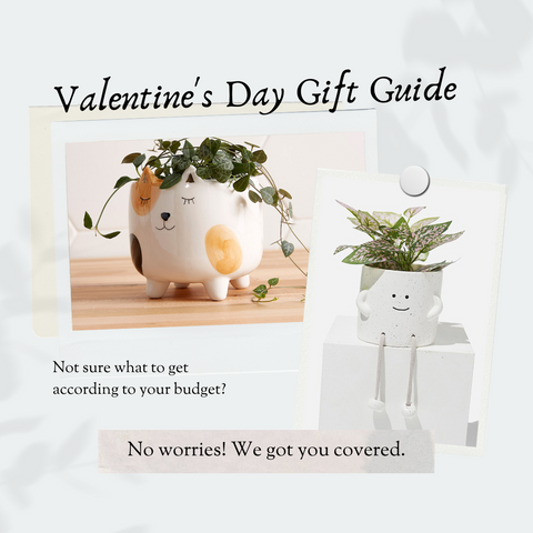 What to get a plant lover for Valentines Day?
