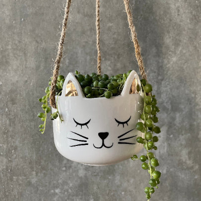 Hanging Cat Planter