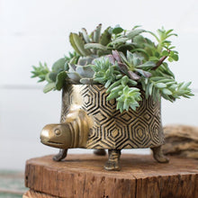 Load image into Gallery viewer, Accent Decor Tommie the Turtle Planter

