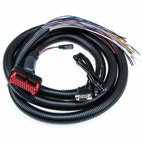 8' MegaSquirt Wiring Harness (MS1/MS2/MS3 Ready)