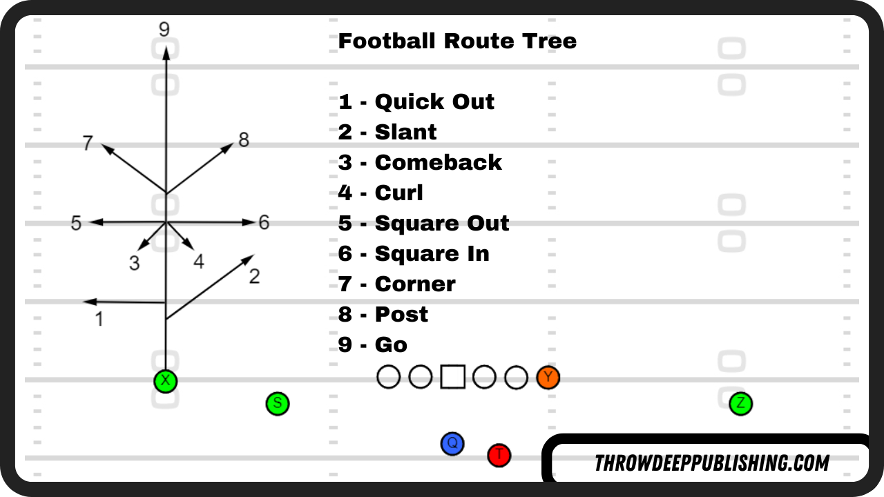 How to Tell How Old a Tree Is (Trick Works Every Time on All Tree Types)