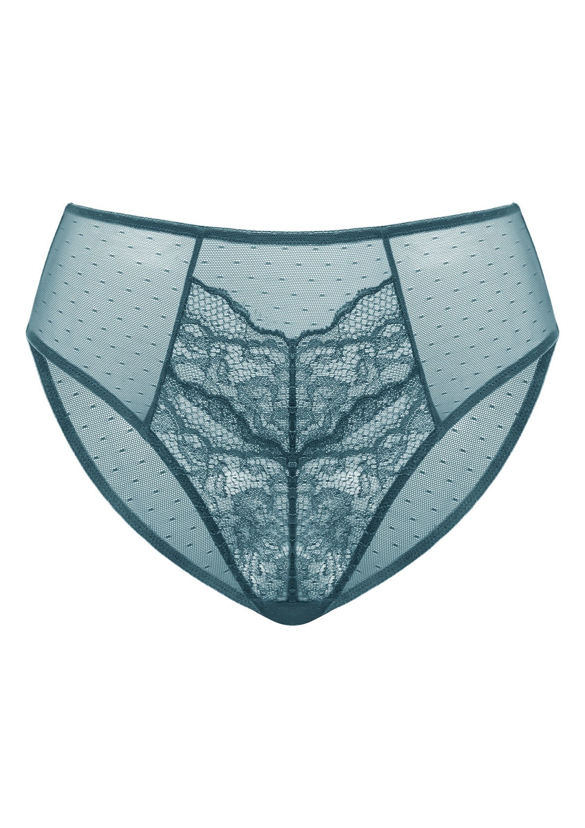 HSIA Enchante High-Rise Floral Lacy Panty-Comfort In Style - XXL / Balsam Blue