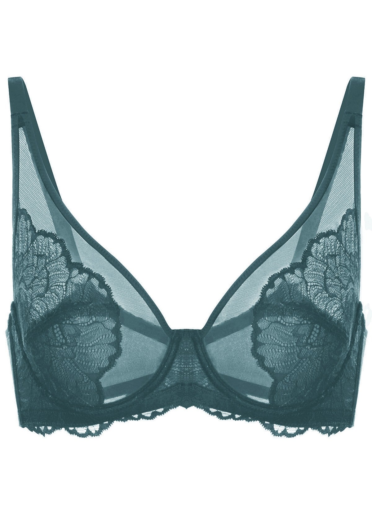 HSIA Blossom Full Figure See-Through Lace Bra For Side And Back Fat - Biscay Blue / 36 / D