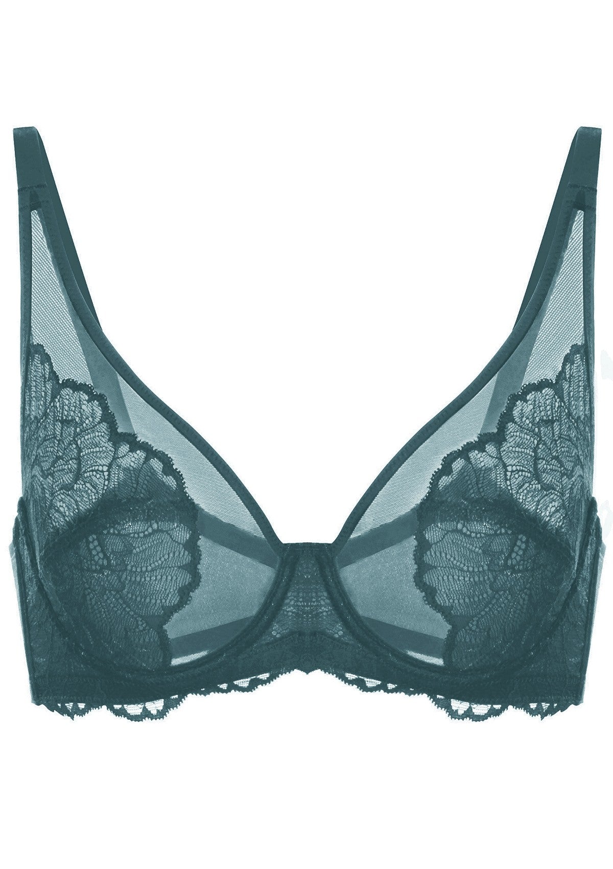 HSIA Blossom Full Figure See-Through Lace Bra For Side And Back Fat - Biscay Blue / 36 / DD/E