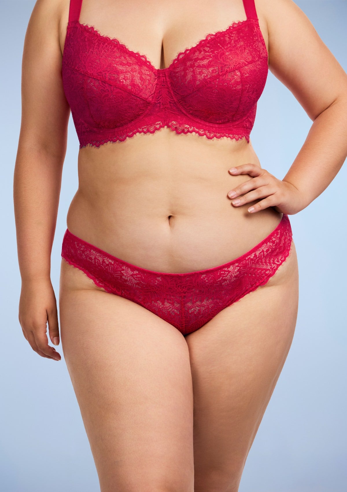 HSIA Sunflower Exquisite Raspberry Lace Bikini Underwear - L / Raspberry