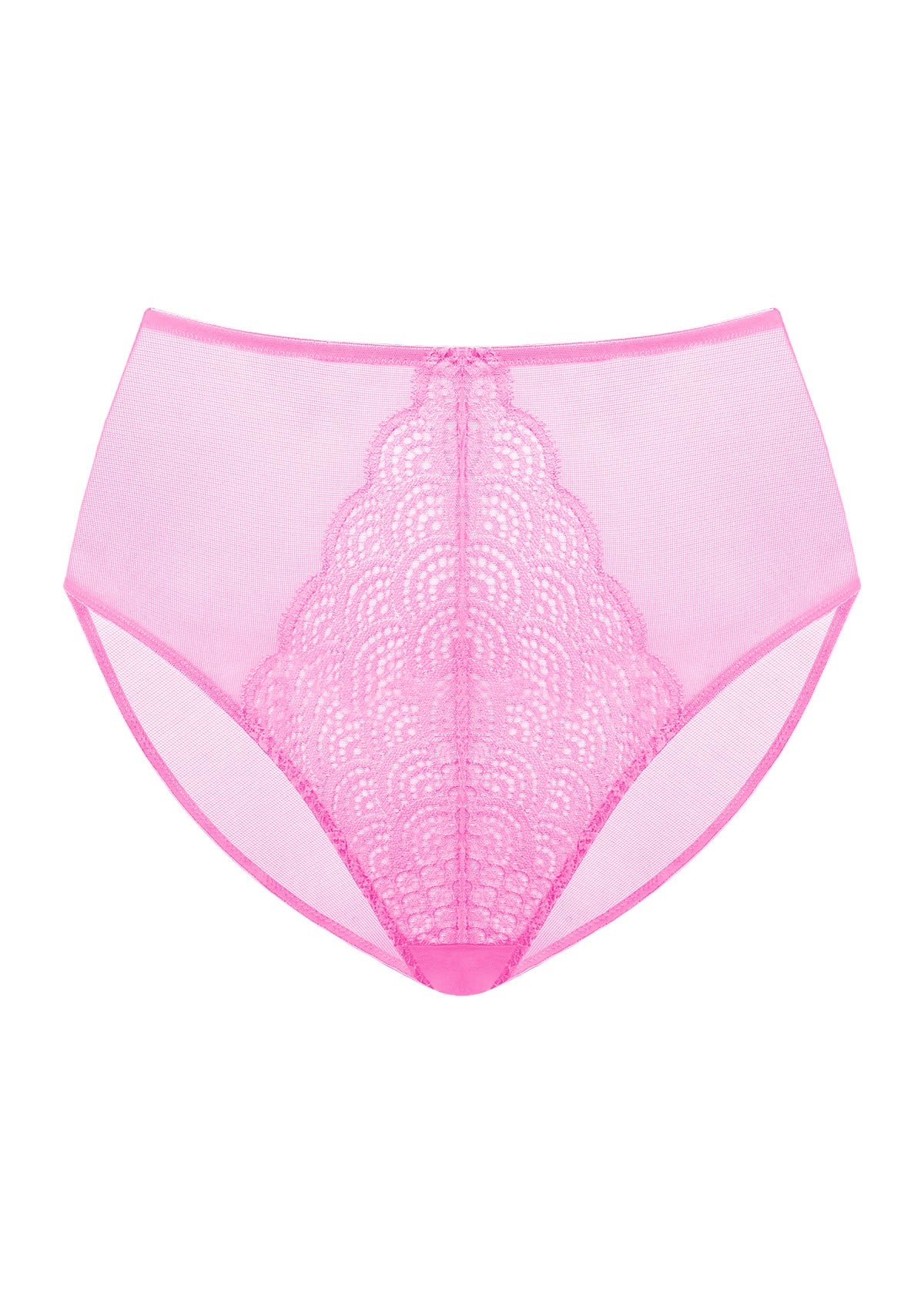 HSIA Spring Romance High-Rise Floral Lacy Panty-Comfort In Style - L / Pink