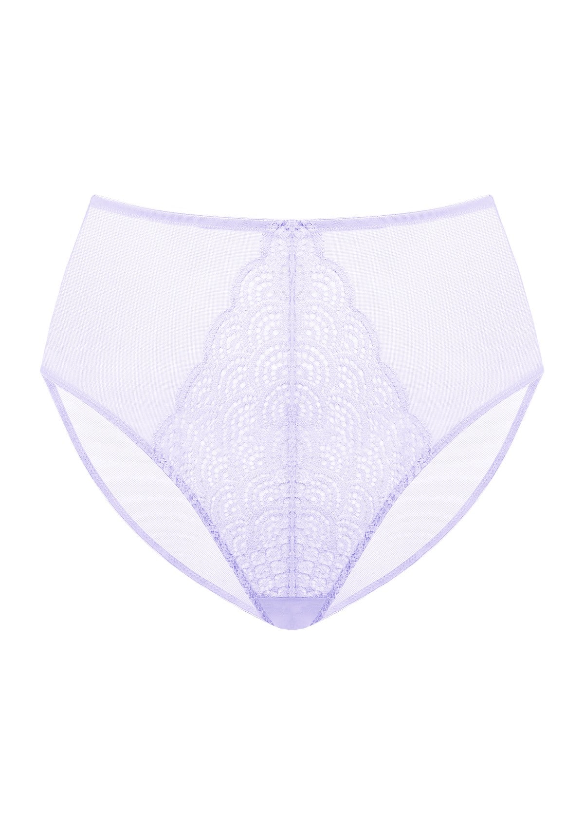 HSIA Spring Romance High-Rise Floral Lacy Panty-Comfort In Style - L / Light Purple