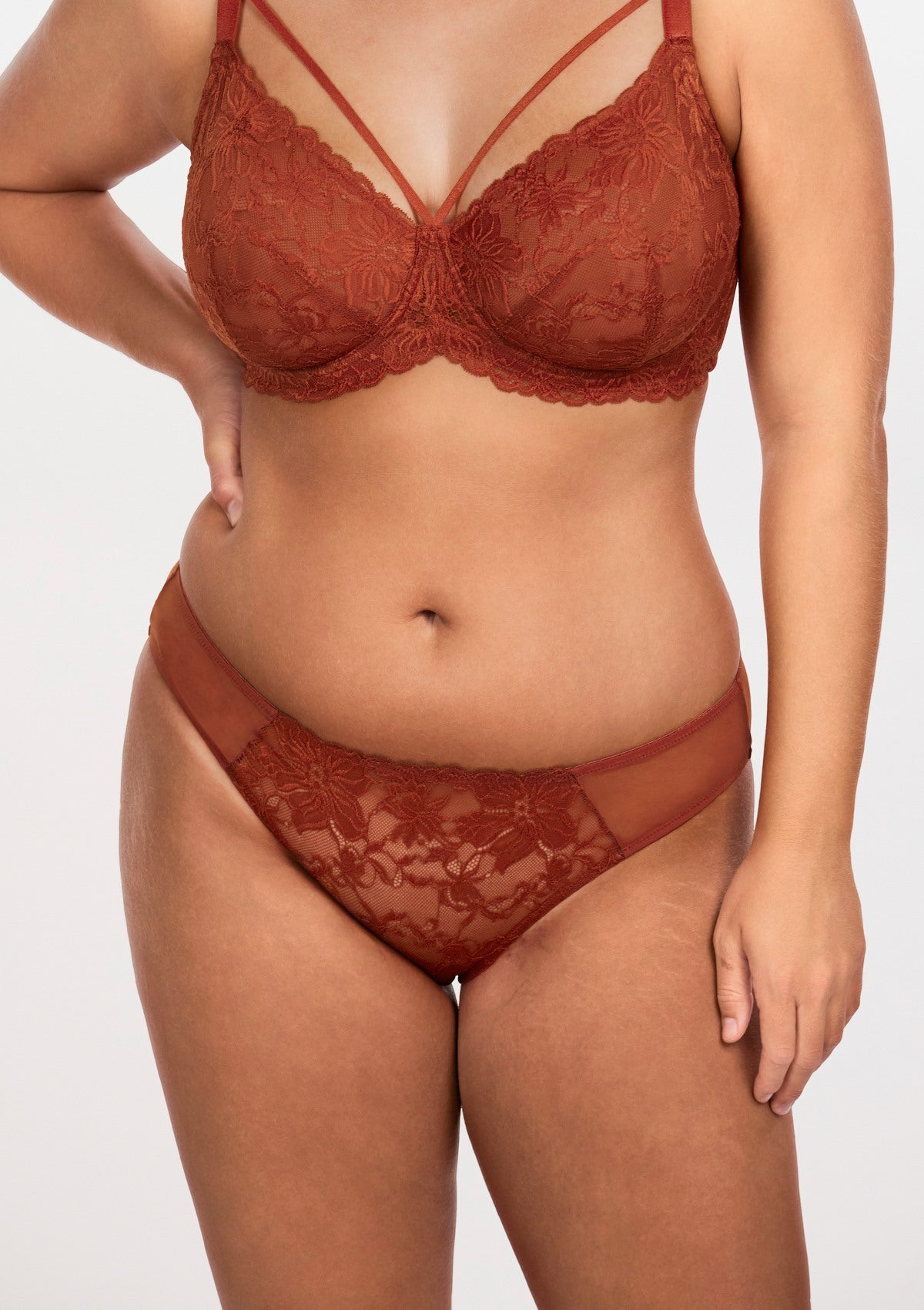 HSIA Mid-Rise Lace And Mesh Panty - Stylish Comfort For Every Day - XL / Copper Red