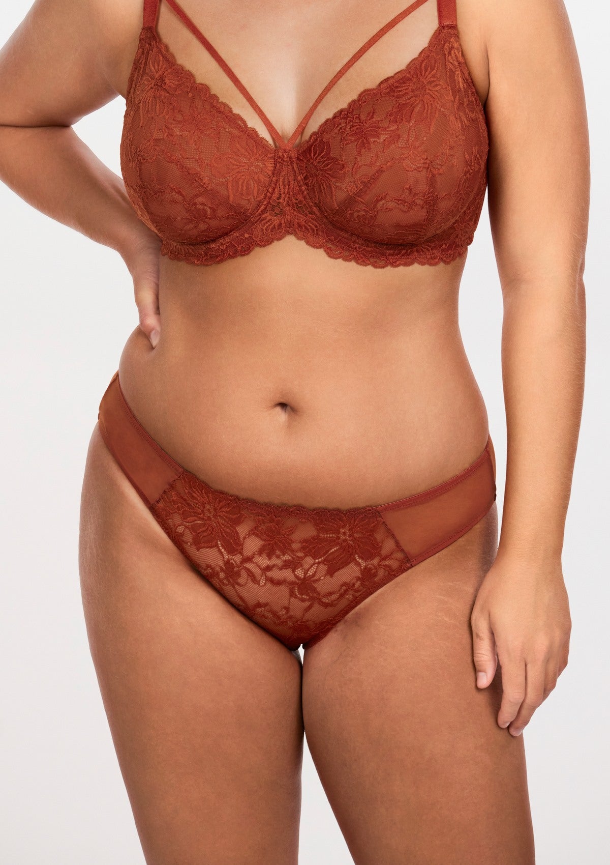 HSIA Mid-Rise Lace And Mesh Panty - Stylish Comfort For Every Day - L / Copper Red