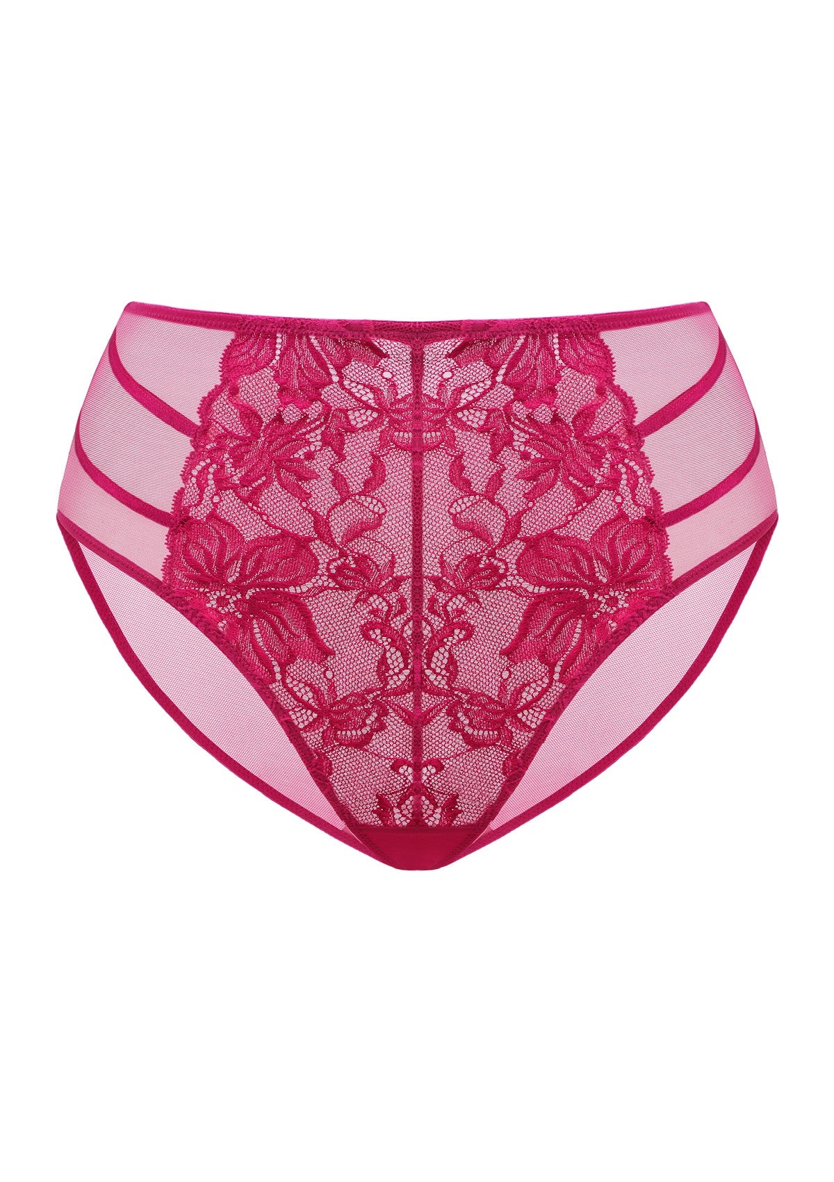 HSIA Pretty In Petals Mid-Rise Sexy Lace Everyday Underwear  - XXL / High-Rise Brief / Red