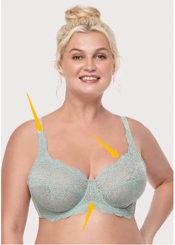 hsia unlined bras for fuller busts