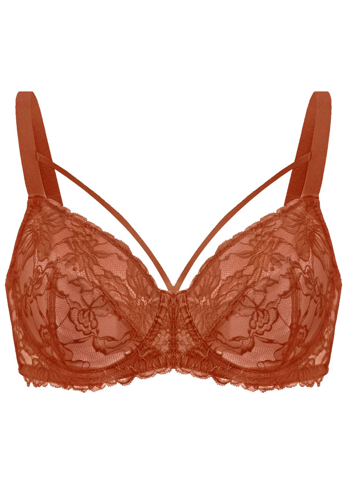 HSIA Pretty In Petals Sexy Lace Bra: Full Coverage Back Smoothing Bra - Copper Red / 34 / DDD/F