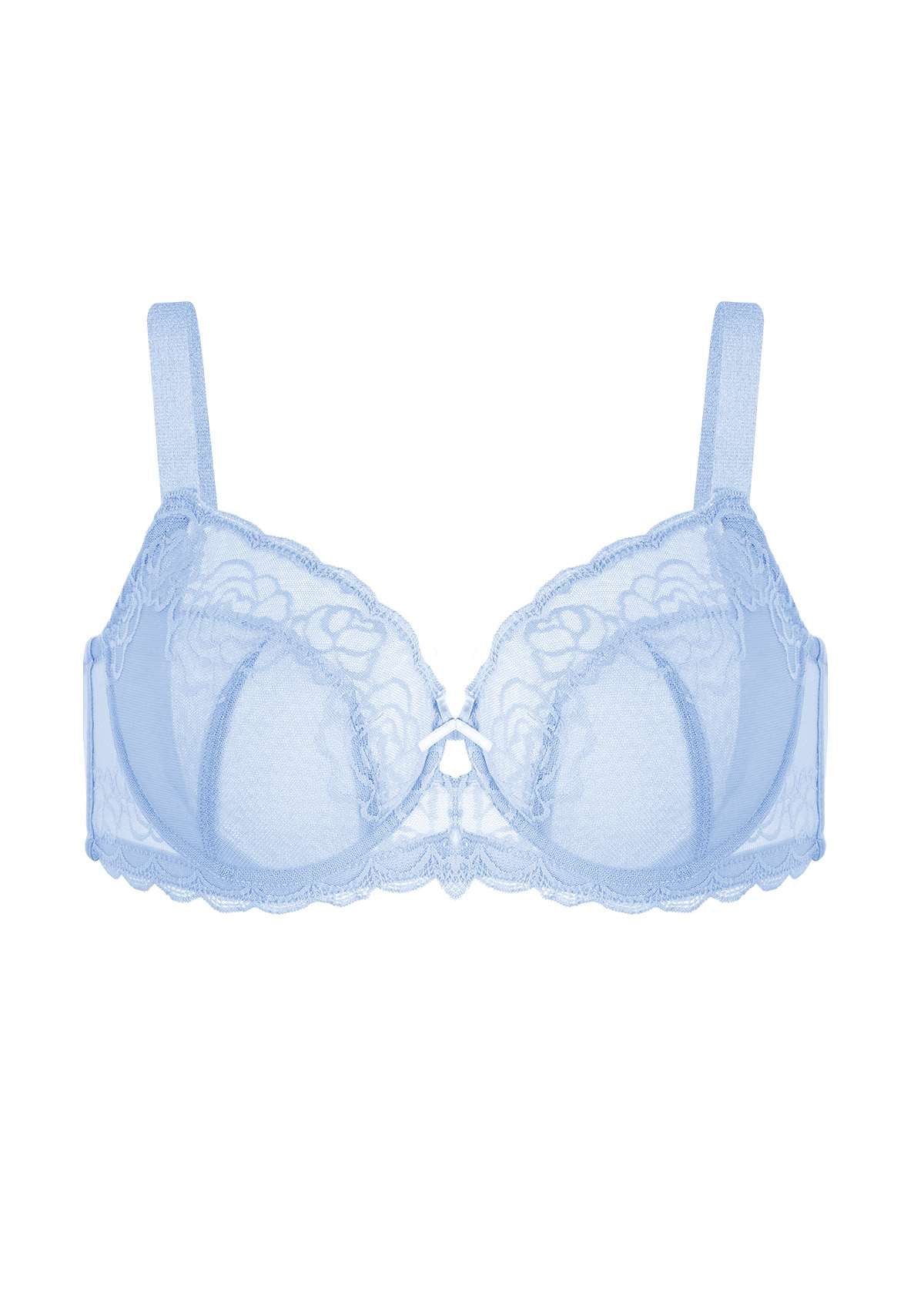 HSIA Rosa Bonica Sheer Lace Mesh Unlined Thin Comfy Woman Bra - Blue / 38 / D