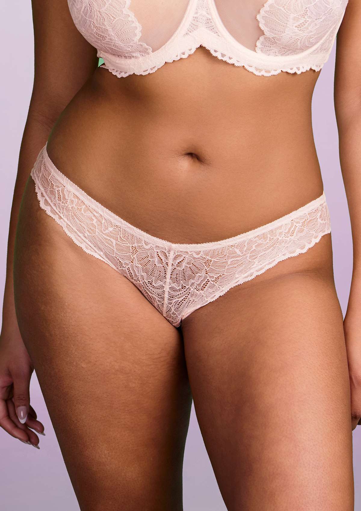 HSIA Blossom Mid-Rise Sheer Lace Lightweight Charming Feminine Pantie - L / Dusty Peach / High-Rise Brief