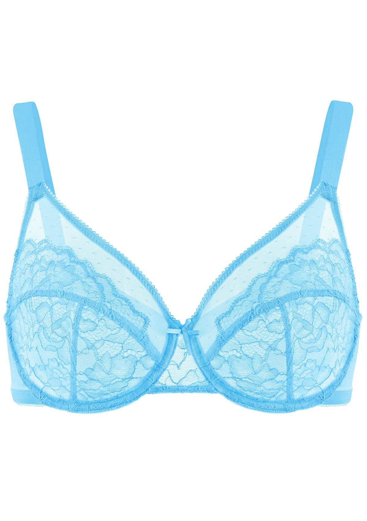 HSIA Enchante Minimizer Lace Bra: Full Support For Heavy Breasts - Capri Blue / 44 / C