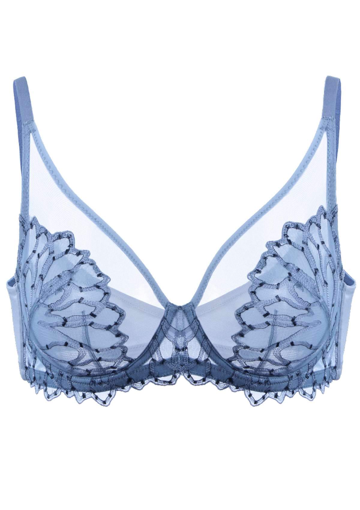 HSIA Chrysanthemum Plus Size Lace Bra: Back Support Bra For Posture - Blue / 34 / D