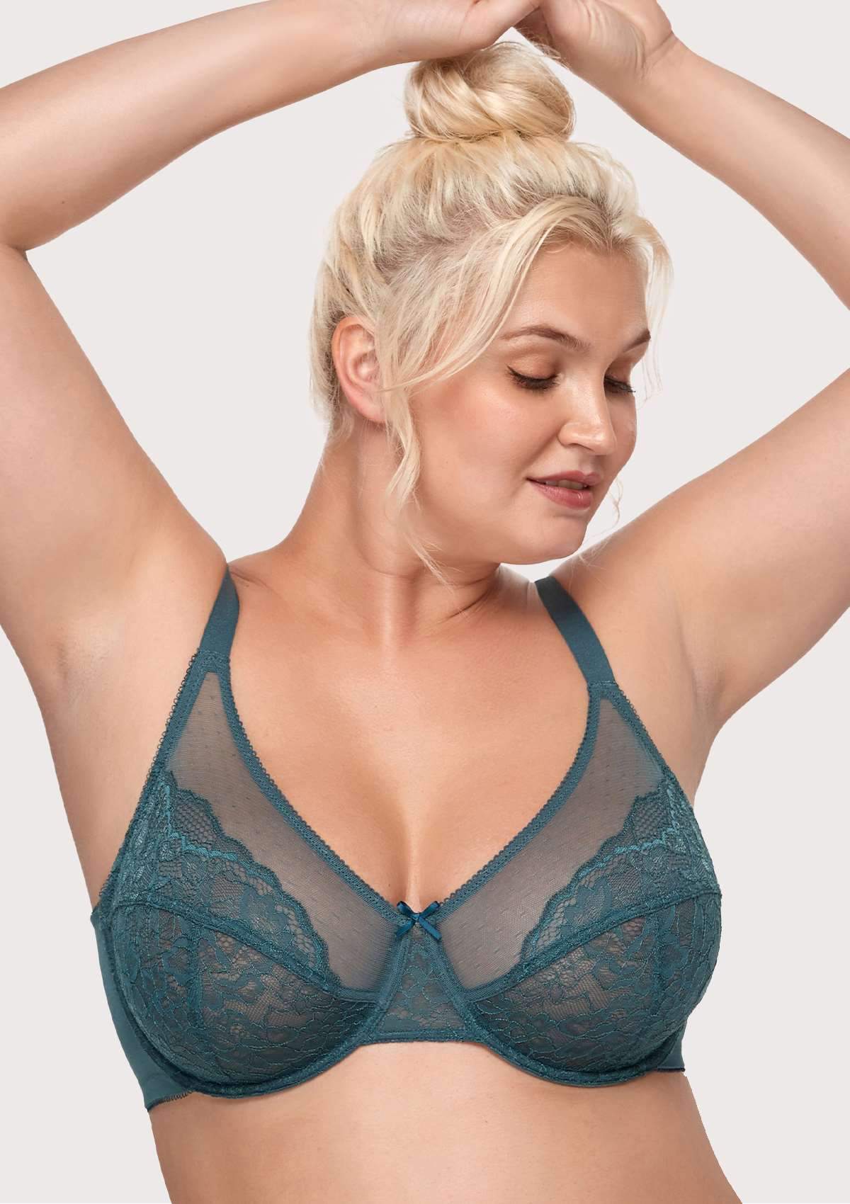 HSIA Enchante Bra And Underwear Set: Sexy, Comfortable See-Through Bra - Balsam Blue / 44 / DD/E