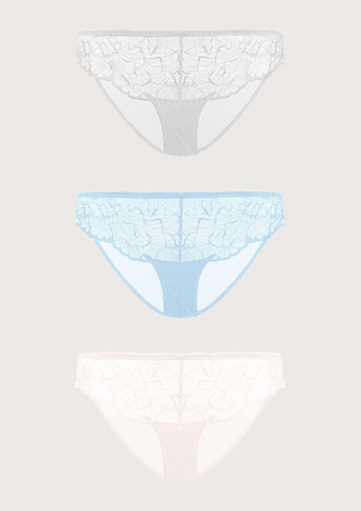 HSIA Blossom Lace Mesh Bikini Underwears 3 Pack - XL / Black+White+Dusty Peach