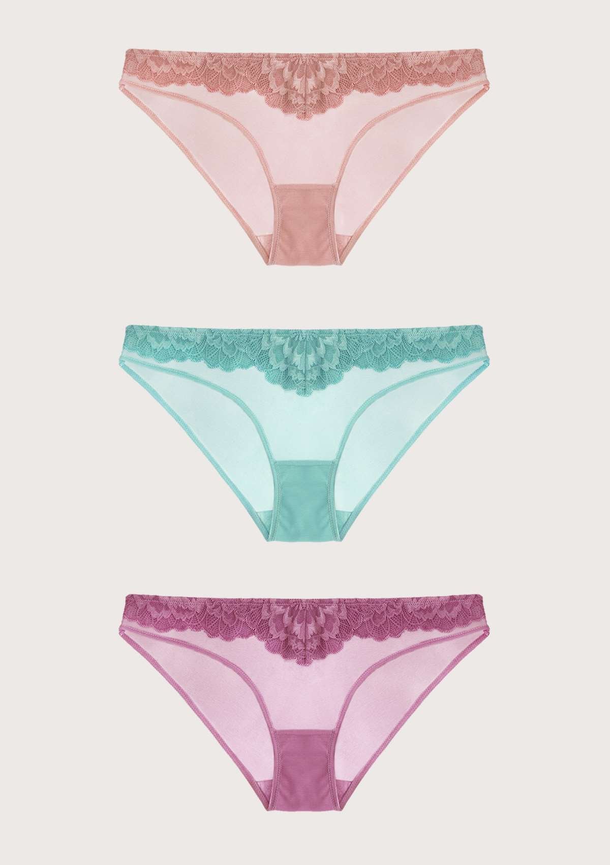 HSIA Peony Lace Mesh Everyday Bikini Underwear 3 Pack - XL / Light Coral+Green+Purple