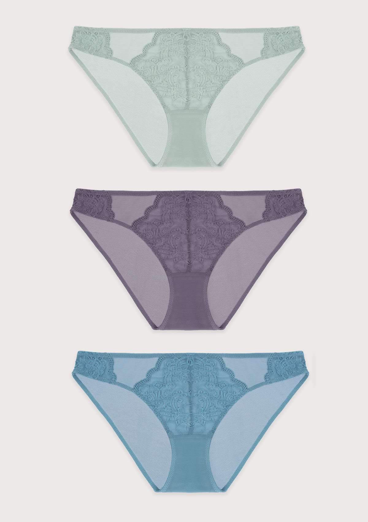 HSIA Floral Lace Front And Sheer Mesh Back Airy Bikini Panties -3 Pack - XL / Green+Purple+Blue